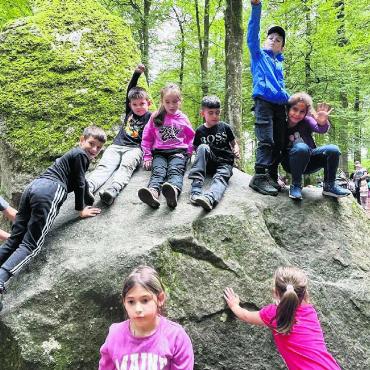 Viele Wege führen zum Erdmannlistein - Der Erdmannlistein war für die Erst- bis Sechstklässler ein interessanter Ausflugsort. Bild: zg