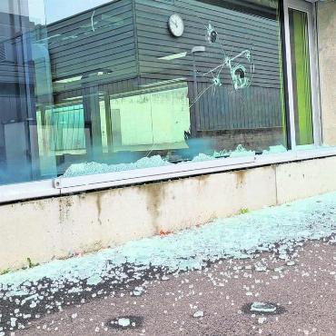 Das bleibt in Erinnerung - 3. Dezember: Dieser Hund geniesst den Wintereinbruch Ende November.