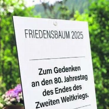 Lebendiges Zeichen des Friedens - Die Gedenktafel in Lermoos.