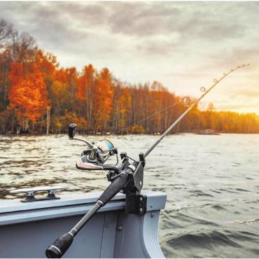 Vorsicht bei Hecht und Egli - Wie schon im Zugersee wurde nun auch bei Fischen im Hallwilersee eine zu hohe PFAS-Belastung festgestellt. PFAs sind verschiedene Chemikalien, die kaum abbaubar sind und die als gesundheitsschädlich gelten. Bild: pixabay