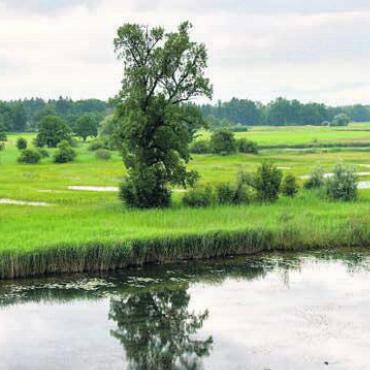 Ausstellung geöffnet - Die Altwasser-Landschaft an der Reuss ist Teil der Ausstellung. Bild: zg