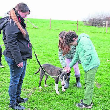 Ein Herz für Listenhunde - Therapiehund Quattro und seine Besitzerin Sibylle Bernauer sind ein eingespieltes Team.