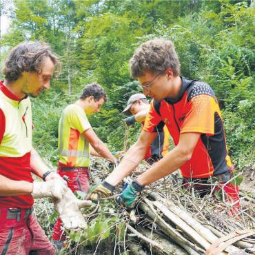 Forstwart-Lernende in Hochform - Dominik Gysel (rechts) beim Bündeln der Faschinen. Das Endziel seiner Ausbildung heisst Forstingenieur. Bild: Richard Gähwiler