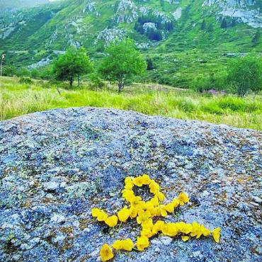 In die Kunst-Wildnis - «Land Art» in der Natur. Ein typisches Breu-Männchen aus Blumen.