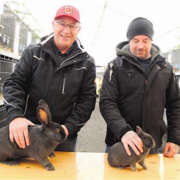 Auf der Suche nach Nachwuchs - Kaninchen gibt es in allen Grössen und Farben. Präsident Oskar Koch (links) und Obmann Michael Jäger präsentieren je eines ihrer Toptiere. Koch einen Blauwiener, Jäger einen Farbenzwerg blau. Bilder: Chregi Hansen