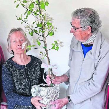 Sie spürt, wo Hilfe nötig ist - Einen kleinen Apfelbaum als symbolisches Geschenk zum Abschied erhielt Brigitta Hubeli aus den Händen von Bruno und Käthi Widmer (rechts). Rolf Keusch (links) wird neuer Leiter der Abgabenstelle von «Tischlein deck dich». Bild: zg