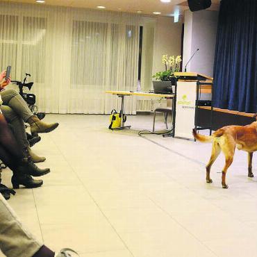 Kommissar auf vier Beinen - Barbara Breitschmid und ihr Malinois Kiwi boten faszinierende Einblicke in die Arbeit der Polizeihunde. Bilder: Chregi Hansen