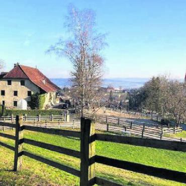 Kanton ist nicht erfreut - Der Besitzer drang mit seinem Wunsch nicht durch: Der Lindenhof in Sichtweite des Schlosses Hilfikon soll auch weiterhin unter Schutz gestellt bleiben.