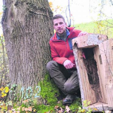 «Biotop-Bäume» für Artenvielfalt - Linus Staubli, Initiant und Betreuer des Projekts Baumpartner, zeigt an der «Knie-Eiche» (links) im Höllwald zwischen Rüstenschwil und Beinwil das Beispiel einer ökologisch wertvollen Baumhöhle. Bild: Thomas Stöckli