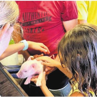Wichtige Begegnungen - Bei den Kindern beliebt: Kontakt zu den Tieren. Bild: zg