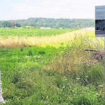 Ganz viele Gewinner - Noel Zehnder von Pro Natura freut sich über die farbenfrohe Buntbrache, die in Zukunft ganz vielen Tieren einen Lebensraum bietet.