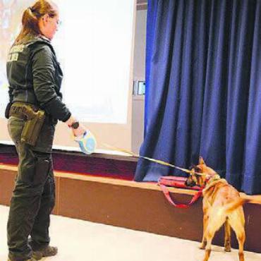 Kommissar auf vier Beinen - In der Tasche sind Amphetamine versteckt. Kiwi findet sie auf Anhieb.