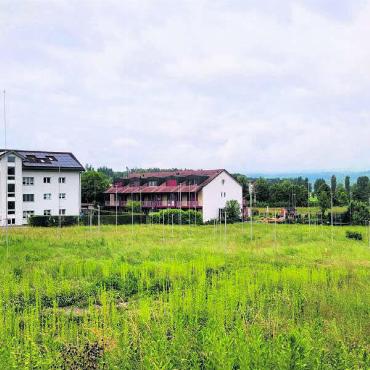 Jetzt soll es vorwärtsgehen - Auf dieser Wiese mitten im Dorf sollen 25 neue Wohneinheiten entstehen. Bilder: Chregi Hansen / zg