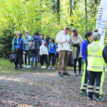 Rahmen gesprengt - Auf der Kreuzung im Wald herrscht ein Kommen und Gehen.