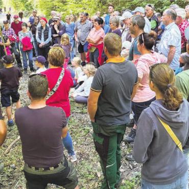 Die Lernenden im Einsatz - Die Waldumgänger erfuhren viel Wissenswertes über die Tätigkeit des Forstbetriebs Rietenberg. Bild: gk