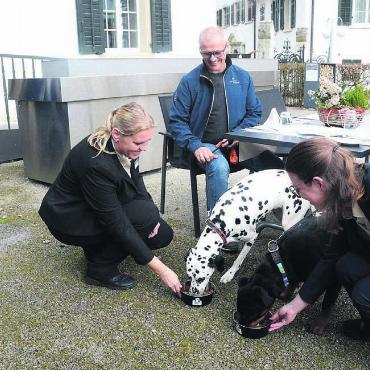 «Tierisch gut» – auch für Tiere - Mandy Reina, Leitung Service (links), und Sabrina Burkard, Chef de Service Restaurant Gnadenthal, servieren den vierbeinigen Gästen ihre Mahlzeit, beobachtet von Andreas Grossmann, Leiter Hotellerie (ganz links). Bilder: Chregi Hansen