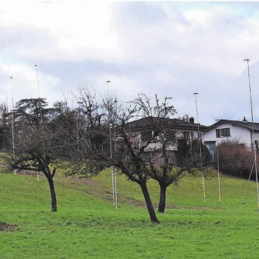 Wohnungen statt Kuhglocken - Fünf Mehrfamilienhäuser in einer Reihe: Das Baugesuch für die 1. Bebauungsetappe im Gebiet Gubel liegt auf. Bild: Erika Obrist