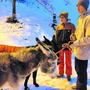 Märchenhafter Winterabend - Sogar die passende Begleitung hatten die Niederwiler an diesem Anlass dabei. Die beiden Esel sorgten für den Jöh-Effekt.