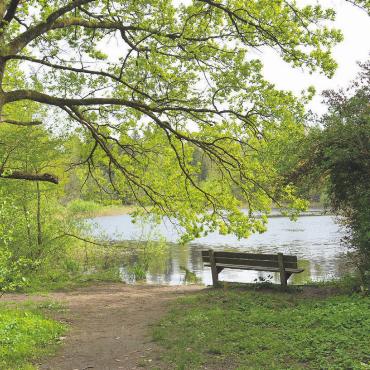 Ein kleines Paradies - Das Fischbacher Moos lädt zum Verweilen ein. Bild: Roger Wetli
