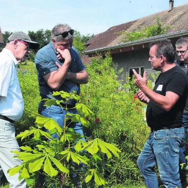 In der Welt der Bienen - Präsident Bruno Heggli erklärt den interessierten Besuchern, wie sich ein Wildbienenvolk ohne Unterstützung des Imkers organisiert. Bilder: vaw