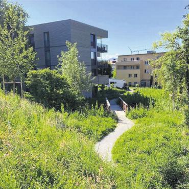 Ökologischen Mehrwert bieten - Nachahmungswertes Beispiel einer Siedlung mit einem ökologisch aufgewerteten Aussenraum. Bild: zg
