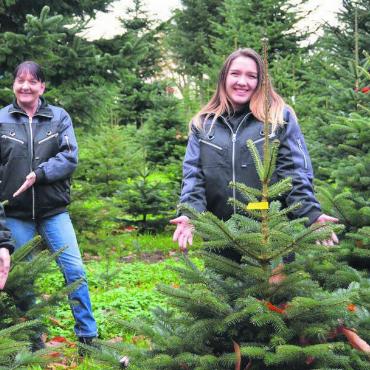 Tannen gehören zur Familie - Die Familie Feldmann, (v. l.) Xenia, Eveline, Vanessa und Heinz, beschäftigt sich das ganze Jahr hindurch mit Weihnachtsbäumen – und das seit 20 Jahren. Bild: Sabrina Salm