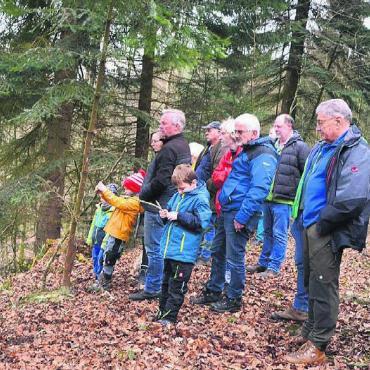 Finale der Holzschlag-Saison - Aus sicherer Entfernung verfolgen die Waldumgänger das Treiben.