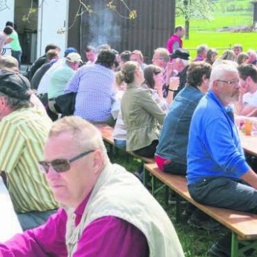 Die braunen Kühe zeigen - Volle Festwirtschaft. Die Organisatoren hoffen auf erneutes Wetterglück.