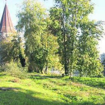 Blühende Vielfalt fördern - Noch ist der Reussuferweg hinter Bild: vb