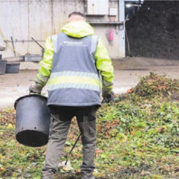 Unnötige Mehrarbeit - Das Grüngut wird ausgebreitet und dann von Hand nach nicht kompostierbaren Abfällen durchforstet – eine aufwendige und mühselige Arbeit. Bild: chh