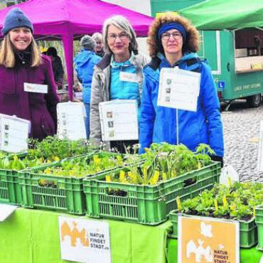 Tauschmarkt für einheimische Pflanzen - Die Mitglieder des Natur- und Vogelschutzvereins setzen sich auch am Wochenmarkt für mehr Lebensgrundlagen für Insekten, Bild: zg