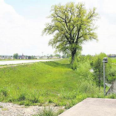 Zweiter Anlauf unumgänglich - Auf dem Weg zwischen Wohlen und Waltenschwil soll die Leinenpflicht für Hunde eingeführt werden. Dies ist ein Teil der Massnahmen, die eine Verbesserung der Querung des Büelisackerkanals ermöglichen sollen. Bild: mo
