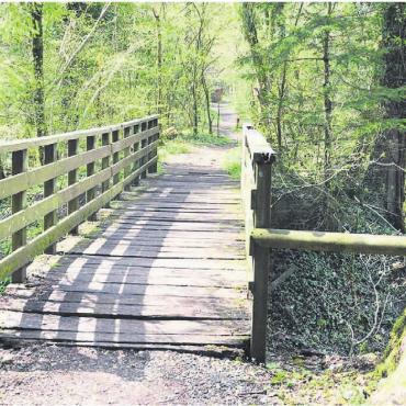 Freiämtersturm und «30er-Strasse» - Im Waldstück zwischen Fischbach-Göslikon und Wohlen gibt es immer noch Zeitzeugen der projektierten «30er-Strasse», wie diese Brücke, die inzwischen von der Gemeinde Fischbach-Göslikon saniert wurde. Bild: Archiv