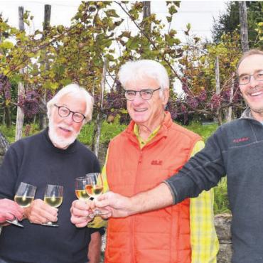 Gute Qualität ist garantiert - Vier erfahrene Weinleser haben den «Wümmet» am Rebberg gemeistert und prosten sich mit einem letztjährigen Weisswein zu (v. l.): Hans Hübscher, Pitsch Isler, Arthur Fischer, Winzer Stefan Weber. Bilder: Daniel Marti