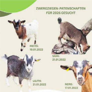 Frischer Wind im Sinnespark