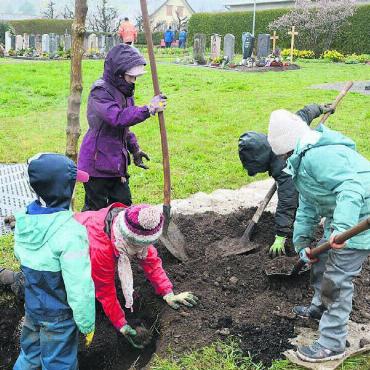 Freude an der Natur fördern - Es gibt kein schlechtes Wetter, nur schlechte Kleidung: Der beliebte Spruch aus nordischen Ländern trifft auch bei der Sarmenstorfer Pflanzaktion zu. Die Kinder lassen sich durch Regen, Kälte und Dreck nicht stören. Bilder: Chregi Hansen