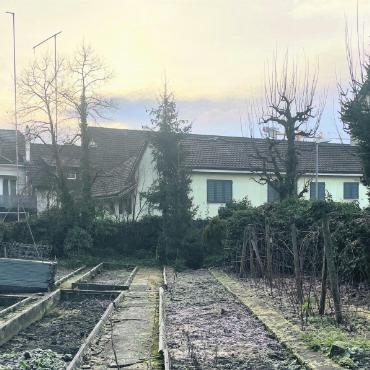 Kompetenzen überschritten? - Die ruhige Idylle trügt: Der Blickt ist von der Villa Isler aus über den Garten Richtung Baubegehren der Firma Stach AG gerichtet. Durch den geplanten wuchtigen Neubau wird das geschützte Anwesen gefährdet. Bild: Archiv