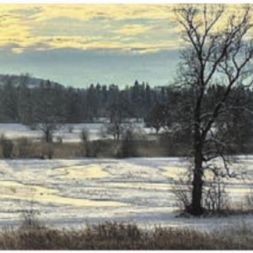 Naturerbe vor der Haustür - Die Reusslandschaft präsentiert sich zu allen Jahreszeiten in ihrer Schönheit. Bild: zg