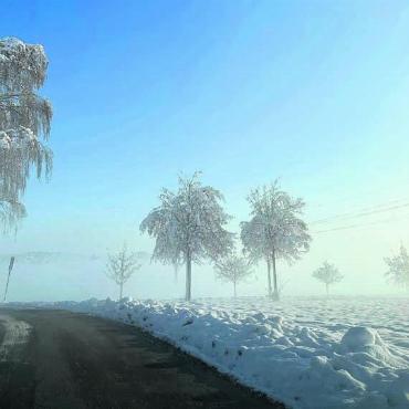 Früher Winterzauber - Der Nebel in den Morgenstunden des 1. Advent in Villmergen. Später war es überall in der Region den ganzen Tag sonnig.