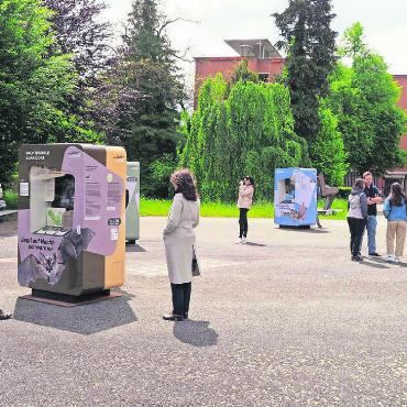 Alle können Beitrag leisten - Die Wanderausstellung des Naturama tourt aktuell durch den ganzen Kanton Aargau und macht vom 15. April bis 5. Mai auf dem Kirchenplatz halt. Bild: zg