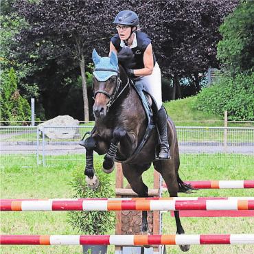 Im Kampf gegen die Wetterapps - Der Concours in Wohlen bot tollen Sport. Bild: jl