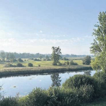 Auen, Riedwiesen, Flachsee - Die Altwasserlandschaft Stille Reuss. Bild: zg
