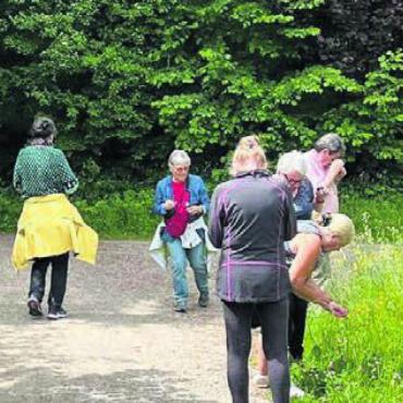 Eintauchen in die Heilkraft des Waldes - Die Mitglieder der Nachbarschaftshilfe KISS Reusstal-Mutschellen erfuhren, was Waldbaden ist. Bild: zg