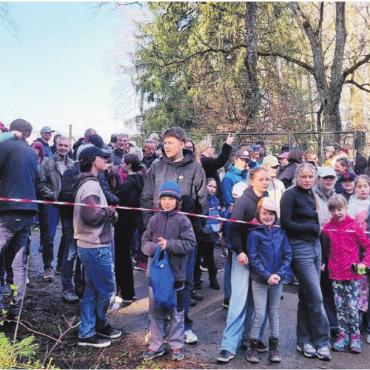 Eiersuchende aus nah und fern - Das Gerangel und den besten Startplatz war gross, genauso wie die Vorfreude, endlich die im Wald versteckten Eier suchen zu dürfen. Bilder: vaw