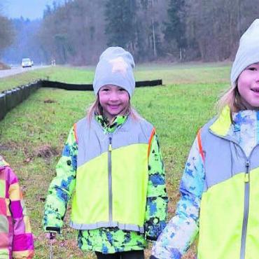 Für den Amphibienschutz - Kinder sind mit grossem Engagement bei der Rettung der Amphibien am Werk. Bild: zg