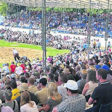 «Ein Kilo Sägemehl gefressen» - 5500 Zuschauer, 126 Schwinger sind in der Festarena in Lenzburg dabei – und erleben ein stimmungsvolles «Nordwestschweizerisches».