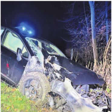 Alkoholisiert in einen Baum - Das Auto raste in einen Baum. Bild: pz