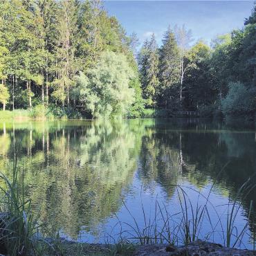 Idylle pur mit den drei Waldseen - In der Morgensonne spiegelt sich die Silhouette des Waldes rund um den idyllischen Weiher oberhalb von Boswil. Bild: zg