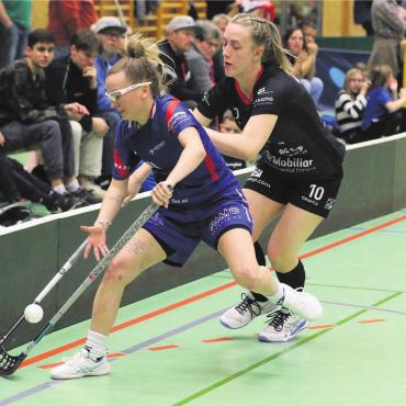 Auf dem Weg zum Löwenherz - Künftig eine Königslöwin. Bremgartens Fiona Alfeld (rechts) im Aufstiegsspiel gegen Reinach. Nachdem die Frauen neu in der NLB spielen, gleist der Verein seine gesamte Juniorenausbildung neu auf. Bild: Archiv/jl