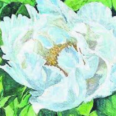 Finissage verschoben - Prächtige Blumenbilder, gemalt von Kateryna Pochnyoks. Bild: zg
